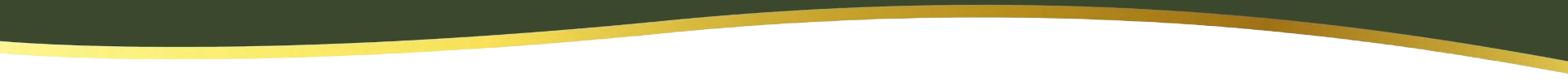 Trennlinie Gold